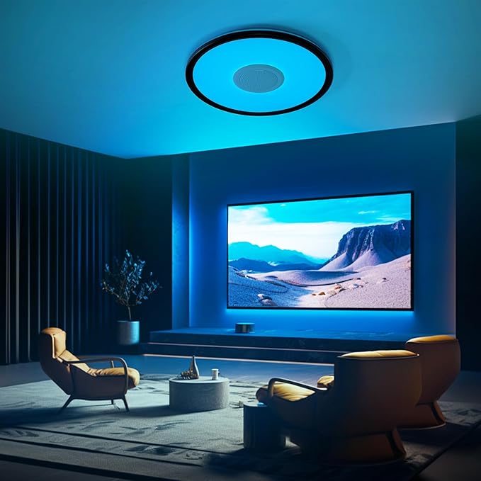 RGB LED Ceiling Light, with Bluetooth Speaker, 24W 11Inch Smart Music Ceiling Lamp with App and Remote Control, 3000K-6500K Color Changing Lights Fixture for Child Bedroom Bathroom, Black