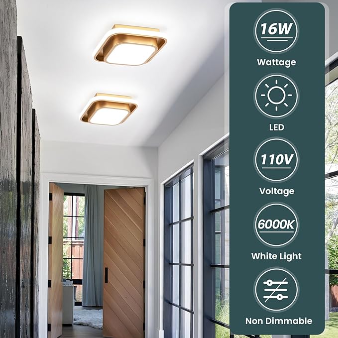 Hallway Light Modern LED Ceiling Light Fixture Square 6000K Close to Ceiling Light Gold Flush Mount Ceiling Lights for Kitchen Bedroom Balcony Bathroom