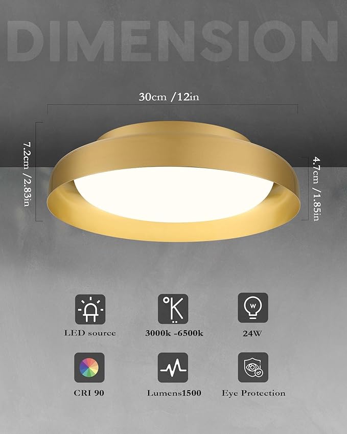 Ken & Ricky Flush Mount Ceiling Light Fixture, Led Dimmable 24w for Bedroom Kitchen Bathroom Laundry Hallway Entryway,Remote Control (Brushed Gold,12Inch,2PK)
