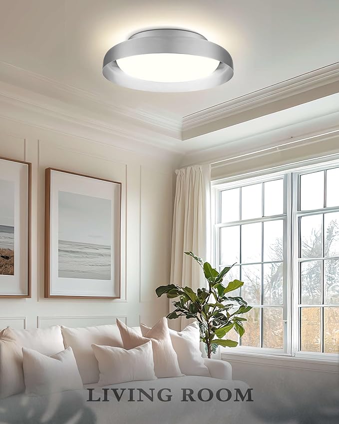 Ken & Ricky Flush Mount Ceiling Light Fixture, Led Dimmable 24w for Bedroom Kitchen Bathroom Laundry Hallway Entryway,Remote Control (Brushed Nickel,12Inch,1PK)
