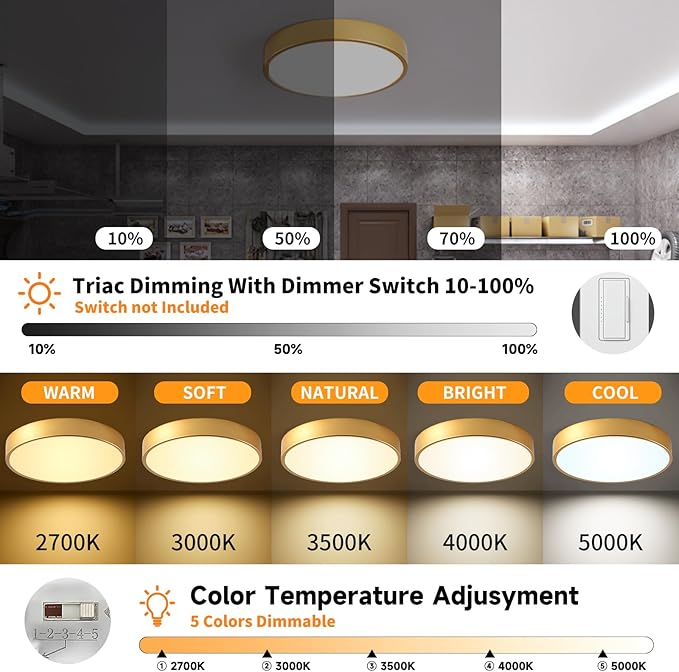 Flush Mount Ceiling Light Gold 12 Inch LED Dimmable Ceiling Light 24W 5CCT(2700K-5000K) Bedroom Lamp Entryway for Bedroom Foyer Kitchen Entryway Closet Hallway