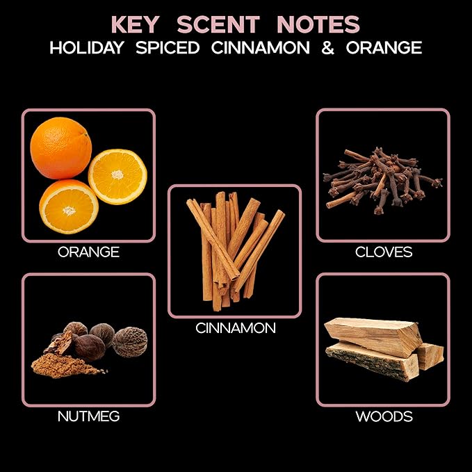 LOVSPA Reed Diffuser Set, Spiced Pomander Orange Cinnamon Scented Oil Diffuser with Sticks, Home Fragrance Accessories for Bathroom Shelf Decor, Aroma Diffusers for Home or Office Desk, USA Made