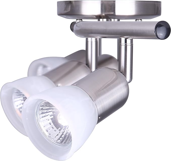 CANARM LTD. IT356A04BPT10 James 4 Bulb Track Light, Brushed Pewter
