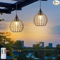 Hanging Pendant Lights, Battery Operated Outdoor Chandelier with Warm White LED Bulb for Patio Tree Pergola Gazebo Porch (Beaded Ball-G50-2PK)