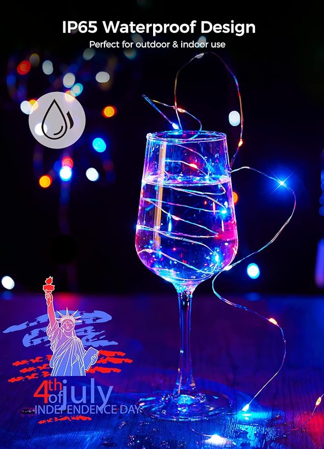 Brightown 4th of July Decor Patriotic Fairy Lights, 7 FT. Silver Wire Red White Blue String Lights, Firefly Starry Moon Lights, Micro LED Mini Fairy Lights for Jars DIY Picture Wedding