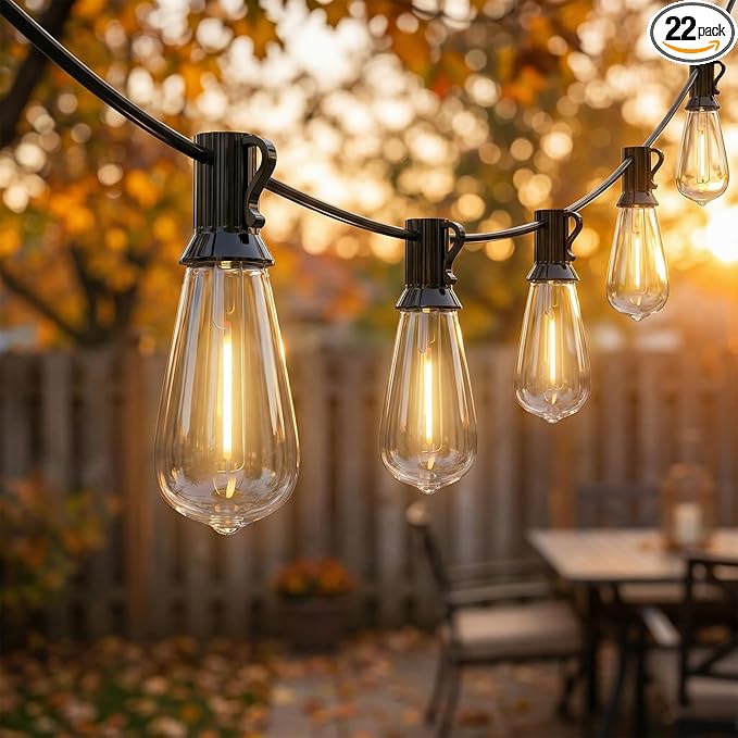 LED Outdoor String Lights for Patio 20Ft, Waterproof Patio String Lights with 22 ST40 LED Edison Bulbs for Deck, Garden, Backyard,House, Vintage String Lights Fit E17 Base, 2700K Dimmable