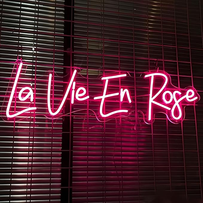 La Vie En Rose LED Neon Signs for Wall Decor Neon Wall Art Acrylic LED Lights with Hanging Chain Light Up for Bedroom Decor Graduation Bar Pub Wedding Party 5V USB Powered Dimmable