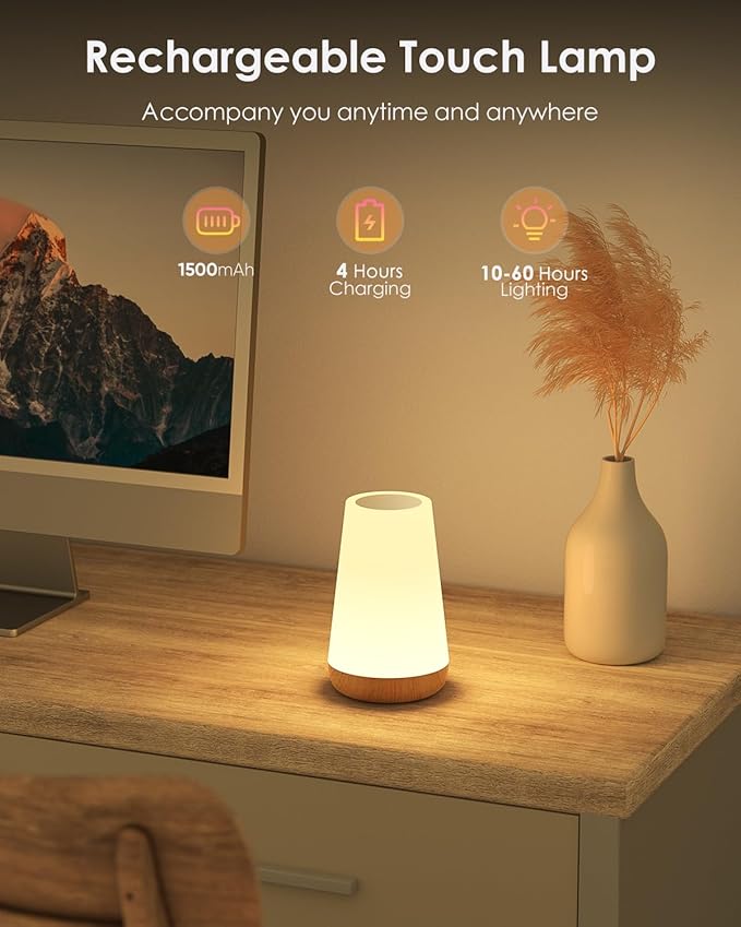 Night Light for Kids Touch & Remote Control, Dimmable Touch Lamp with 13 Color & 5 Brightness, Battery 0perated Lamp with Timer & Memory, LED Nursery Night Light for Bedroom Bathroom Camping