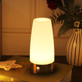 WRalwaysLX Retro LED Night Light for Home,Small Lamp with Wireless PIR LED Motion Sensor Indoor/Outdoor,Battery Operated Lamp for Bedroom,Hallway,Kitchen
