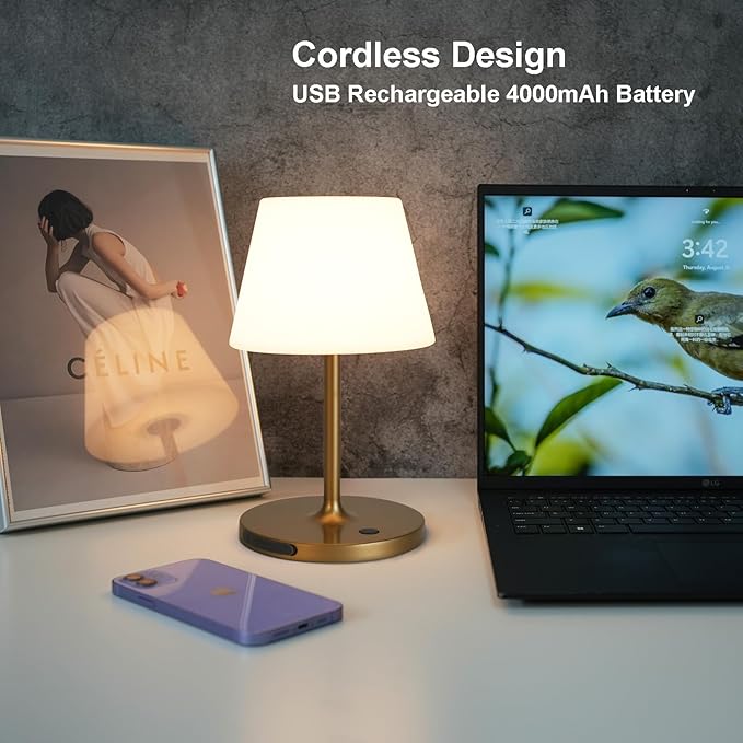 Outdoor Battery Operated Table Lamp Waterproof, 4000mAh Cordless Table Lamp Rechargeable, Touch Dimmable Desk Lamp, LED Night Light for Patio Camping Restaurant Home (Gold, 9.6in)