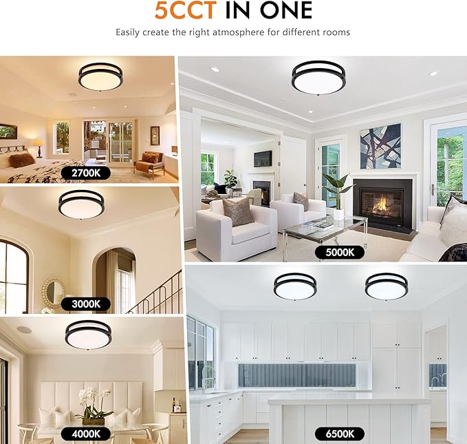 10Inch 30W LED Flush Mount Ceiling Light Fixtures, Ultra Bright 3200LM Dimmable Ceiling Lights, 5CCT 2700K 3000K 4000K 5000K 6500K, Ceiling Lamps for Kitchen Hallway Bedroom Bathroom, Black 1 Pack