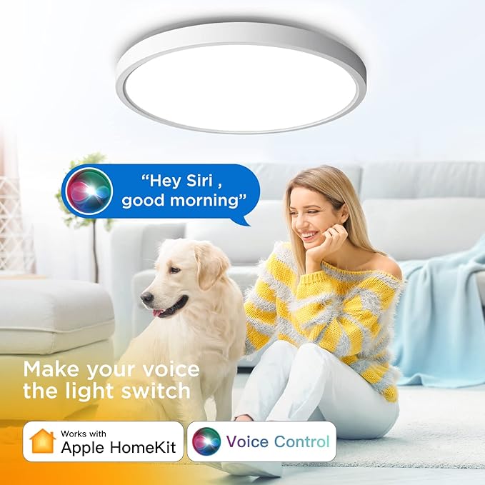 TALOYA Compatible with Apple Homekit/Siri LED Flush Mount Ceiling Light Fixture, 15.8inch 28W Smart Ceiling Light Fixture with RGB Backlight, 3000-6500K Light Changeable, for Living Room, Bedroom