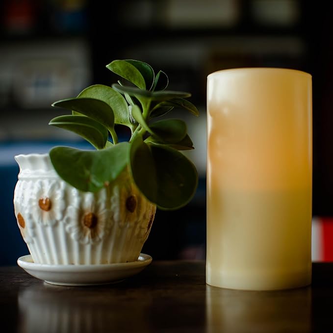 CANDLE CHOICE Outdoor Battery Operated Flameless Candle with Auto Daily Cycle Timer Waterproof Flickering Plastic Electric LED Pillar Light for Lantern Patio Garden Wedding Party Decorations 3”x6”(H)