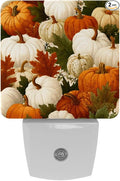 Thanksgiving Pumpkins a (2) Plug in Led Night Light with Auto Dusk to Dawn Sensor,Brightness Cool White Lights for Hallway,Kids Room, Kitchen, 2 Pack