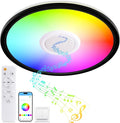 RGB LED Ceiling Light, with Bluetooth Speaker, 24W 11Inch Smart Music Ceiling Lamp with App and Remote Control, 3000K-6500K Color Changing Lights Fixture for Child Bedroom Bathroom, Black