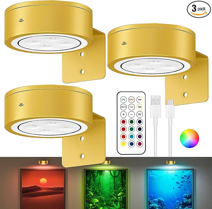 3-Pack Picture Lights for Wall, 13 RGB Color Changing Led Art Display Light with Rechargeable Battery Operated, Magnetic Painting Light with Remote Control, Wireless Home Wall Decorative Lighting