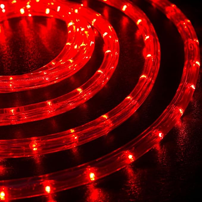 WYZworks 216LEDs, 20ft LED Outside Rope Lights, Waterproof Permanent Outdoor ETL Certified Connectable Clear Tube, Christmas Palm Tree Holiday Decorative Landscape Patio Accent Lighting - Red