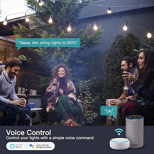 TREATLIFE 2 in 1 Outdoor Smart Dimmer Plug, 2 Individual Control Sockets, 600W, Compatible with Alexa, Google Home, IP64 Dimmer for Outdoor String Lights, Dusk to Dawn, 2.4GHz WiFi Only