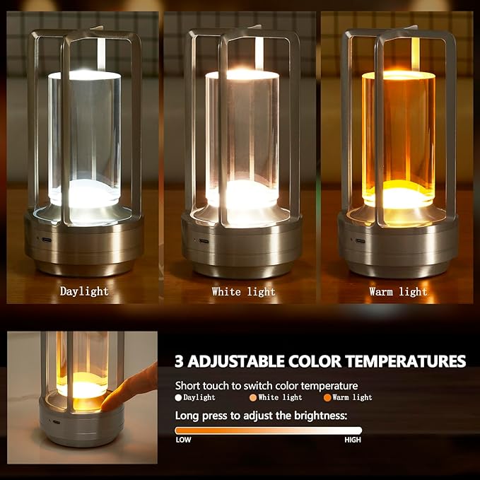 Small Table Lamp, Rechargeable Cordless Battery Operated LED Lamp, 3-Color Temperatures Dimmable Nightstand Lamp for Living Room, Bedroom, Outdoor Battery Powered Portable Touch Lamp (Silver)