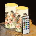 Robin Bird Flameless Candles 2 Pack 6 x 3 inch Battery Operated Candles with Multicolor Timer Remote Control LED Fake Candles for Warm Light Dinner Table Home Decor