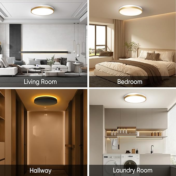13 Inch Flush Mount Ceiling Light with Remote Control & Night Light, 5CCT Dimmable Ceiling Light Fixture, 25W 2500LM 2700K-6500K Adjustable LED Ceiling Lights for Bedroom Kitchen, White Gold
