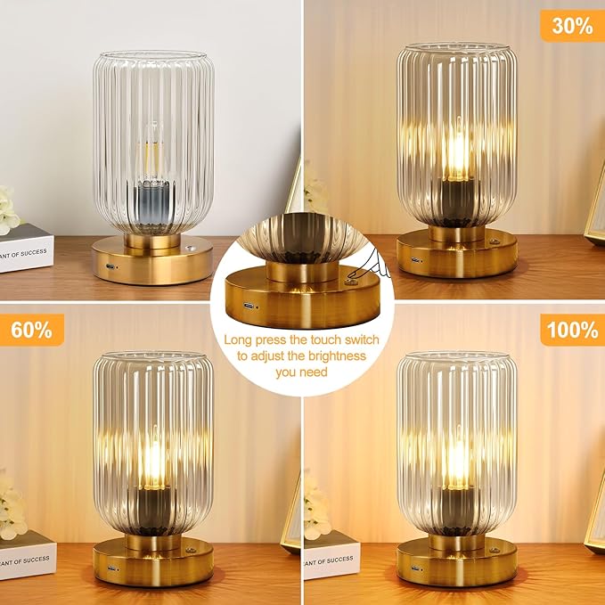 Touch Table Lamp for Nightstand - Small Bedside Lamps for Night Stands Bedroom Living Room, Dimmable Rechargeable Desk Lamp Battery Operated with Clear Glass Shade, Bulb Included