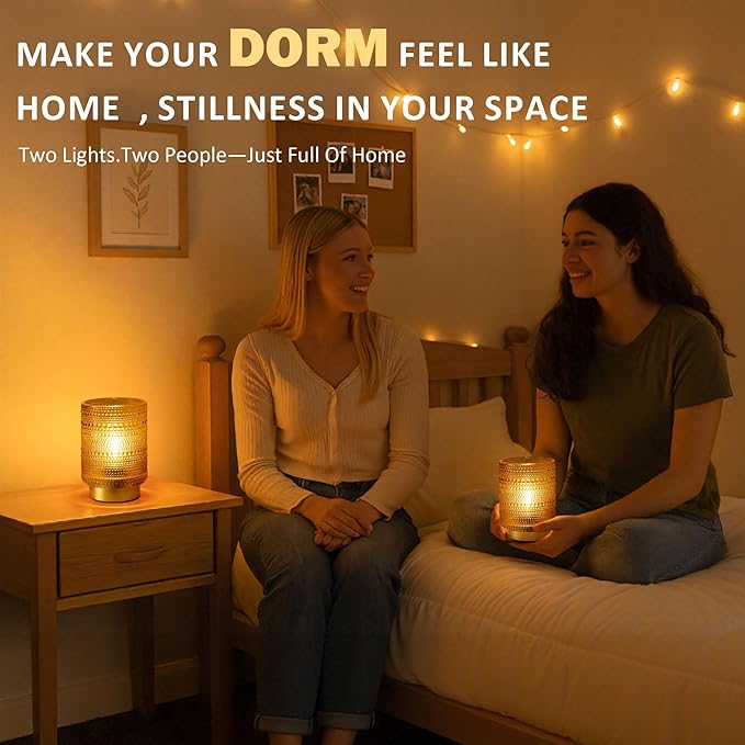 2 Pack Battery Operated Decorative Aesthetic Lamp with Timer for Bedside,Small Cordless Table Lamps with LED Warm Bulb for Bookshelf/Entryway/Nightstand/Dorm/Coffee Table/Office Cubicle Decor(Golden)