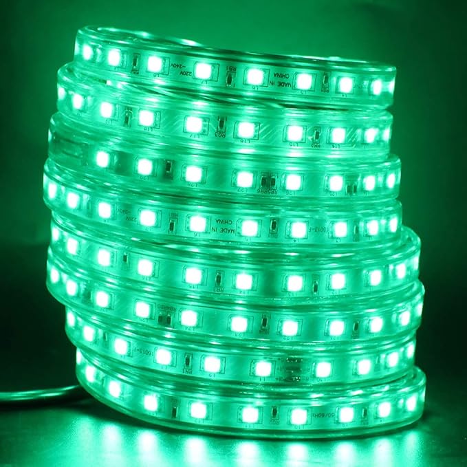 LED Light Strip Kit, AC 110-130V Flexible Waterproof Rope Lights, 9.9ft 5050 60 LEDs/M for Indoor Outdoor Commercial Lighting Decoration, Accessories Included, Green