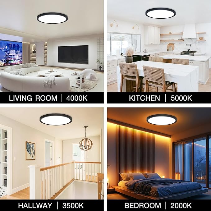 4Pack Dimmable LED Flush Mount Ceiling Light Fixture with Remote Control, 24W 2400LM, 12Inch, 2000K Warm Night Light & 3000K-6500K, Modern Super Slim Ceiling Lamp for Bedroom Kitchen, Black