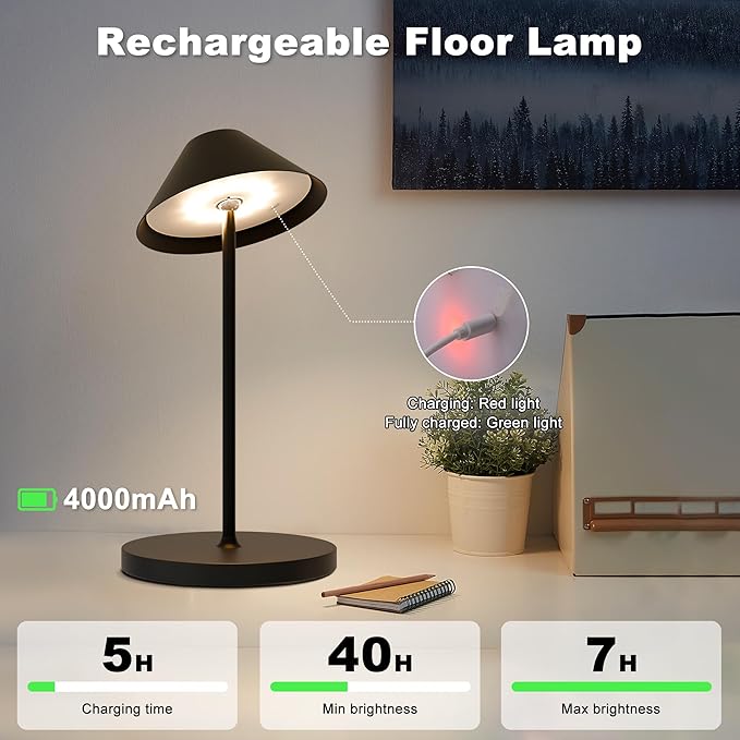 Rechargeable Floor Lamp for Indoor/Outdoor, Cordless Tall Standing Lamp with 3 Color Temps & Dimmable, IP43 Waterproof, Adjustable Height 16-59 Inch, LED Floor Lamp for Living Room, Patio(Black)