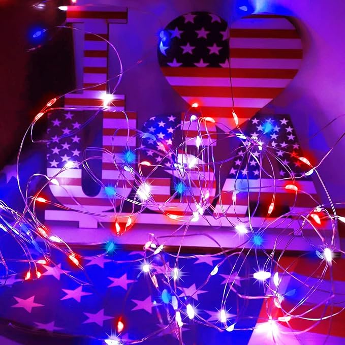 LAMPHOME Patriotic Fairy Lights Plug in, 33Ft 100 LEDs Waterproof Twinkle Firefly Lights, Adaptor Included Starry String Light for Independence Day Patriotic Holidays Decoration (Red, White & Blue)