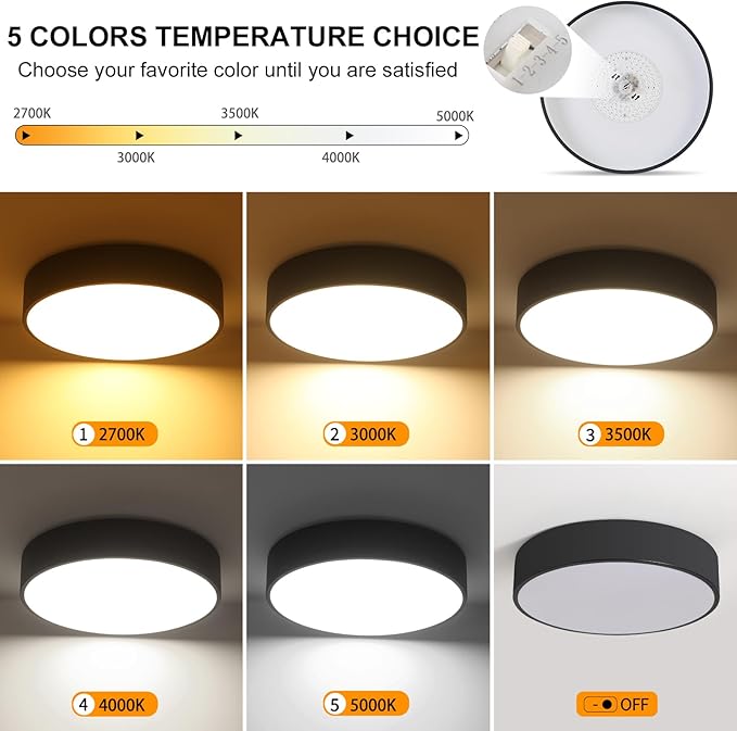 Flush Mount LED Ceiling Light, Dimmable 5CCT Modern Round Close to Ceiling Lighting Fixtures, Minimalist Black Ceiling Lamp,15.8 Inch