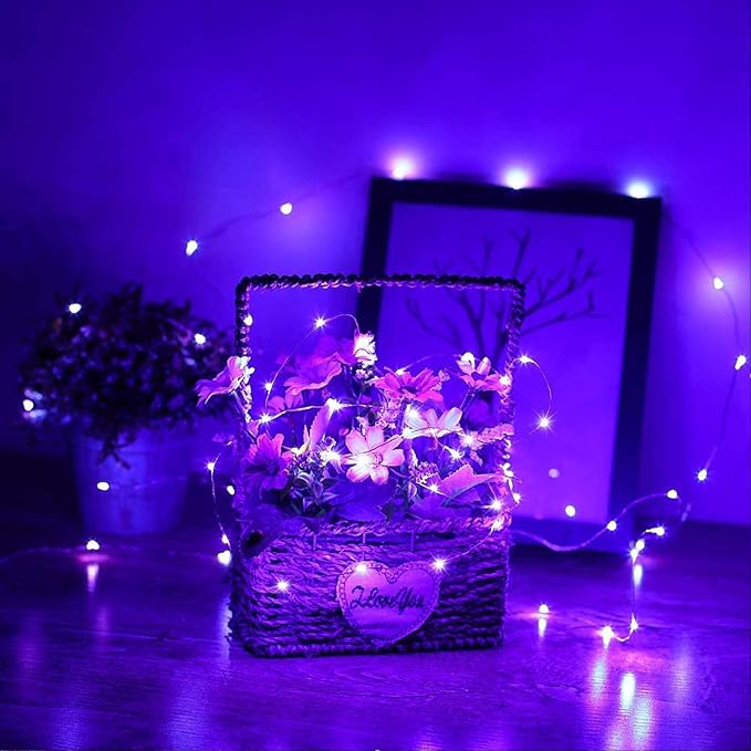 RUICHEN 20 Ft 120 LED USB Fairy String Lights with On/Off Switch, Waterproof Copper Wire Lights for Bedroom Wall Ceiling Wreath Crafts Christmas Halloween Party, Purple, 2 Pack