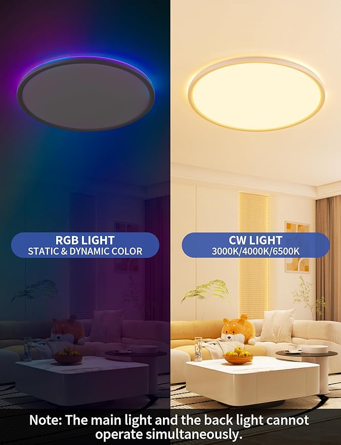 Smart Ceiling Light, RGB LED Flush Mount Ceiling Light with Remote，Ambient Lighting Fixture, 11 Inch 24W 2400LM 3000K-6500K, DIY Colors, Timer, White