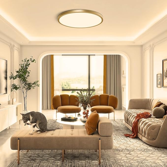 12 Inch Gold LED Ceiling Light, 3000K Warm White, 24W Gold Flush Mount Ceiling Light, 3200LM Round Low Profile Ceiling Lights for Bedroom, Living Room, Dining Room