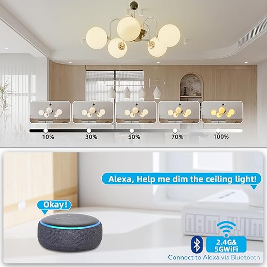 Wireless Dimmer Switch, 2 Remote Light and 1 Receiver kit, Work with Alexa Voice Control, Smart Wall Switch Lighting Fixture for Dimmable LED/CFL INC/HAL Bulb of Ceiling Pendant Lamps, ETL Listed