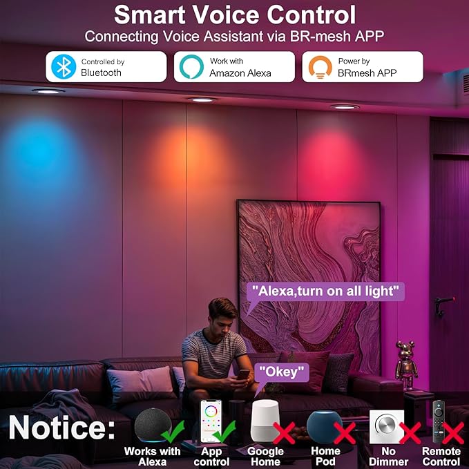 5/6 Inch Smart LED Recessed Light Compatible with Alexa 1Pack,13W1050LM,2700K-6000K,RGB LED Can Light,Retrofit Recessed Lighting,for Living Room,Bedroom,Kitchen