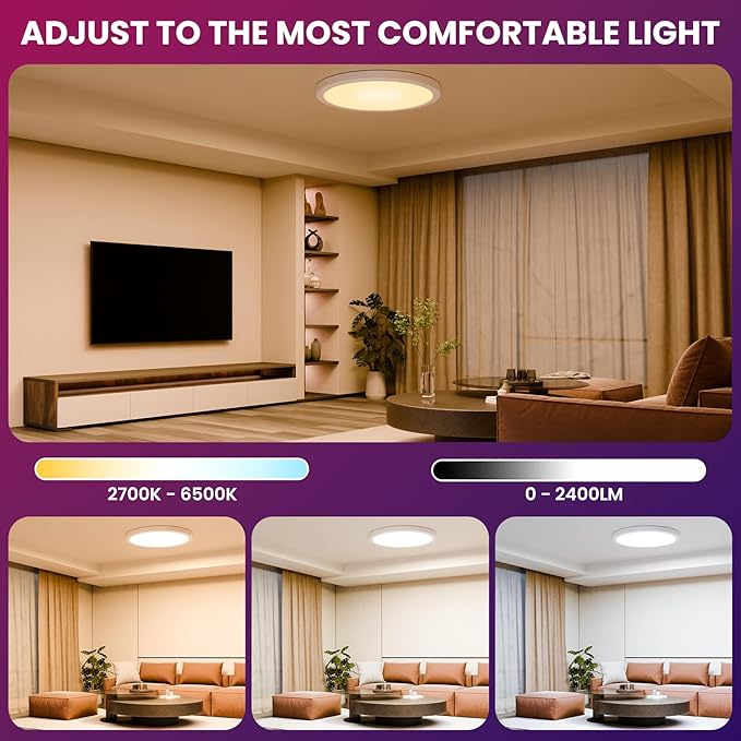 12 Inch Smart Ceiling Light, 2400LM RGBCW Flush Mount Ceiling Light Work with App & Voice Control, 2700K-6500K Dimmable LED Ceiling Light Fixture for Living Room Bedroom Gaming Room