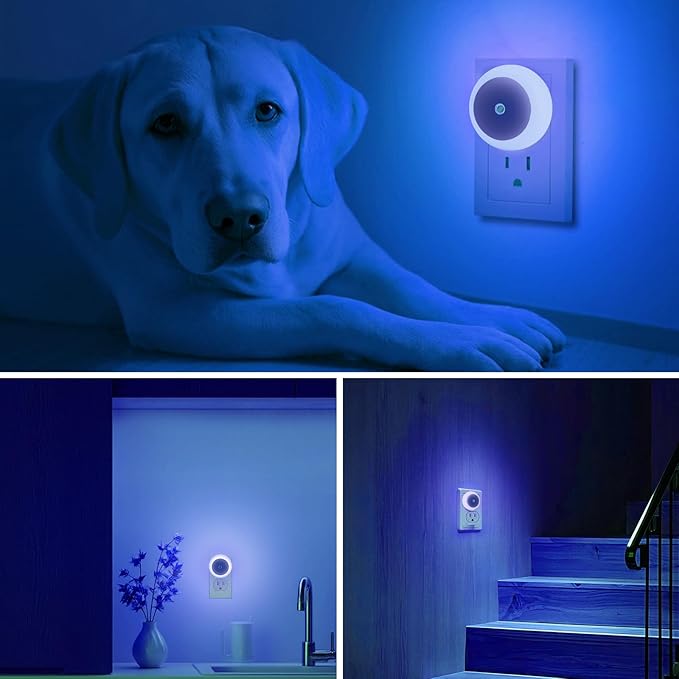 KINUR 6 Pack Blue, LED Night Lights Plug into Wall with Dusk to Dawn sensors, Plug in Night Lights for Kids Room, Bedroom, Bathroom, Baby Nursery,Stair Lights, Hallway Light