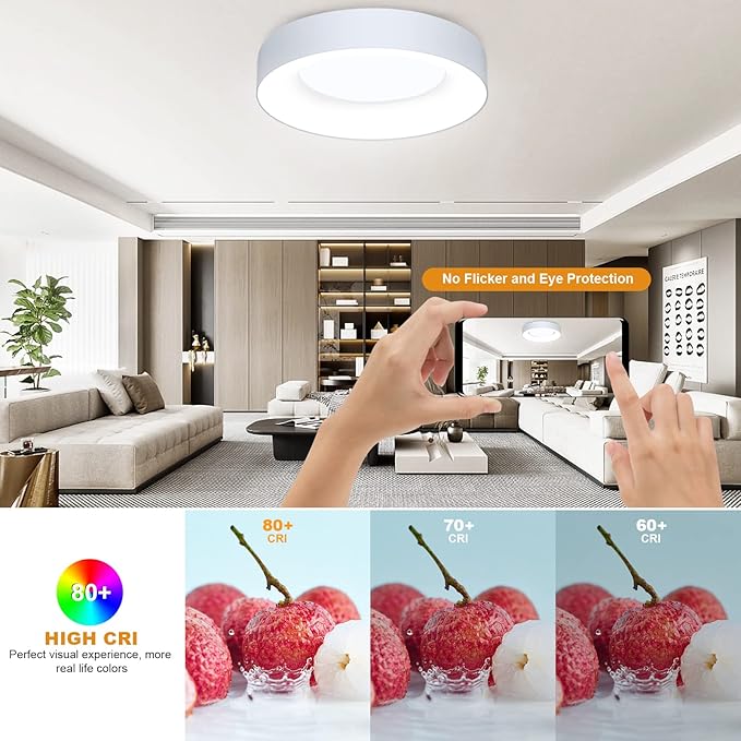 LEZOE RGB Flush Mount LED Ceiling Light Dimmable with Remote Control 11 Inch, 24W 2400lm Color Changing Ceiling Light Fixture, 3000K-6500K Ceiling Lamp for Bedroom Kitchen Hallway Party Living Room