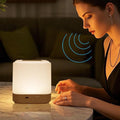Touch Lamp for Nightstand,Speech Control Bedside Lamp Touch Control for Bedrooms,Smart Rechargeable Night Light,Eye Caring Battery Dimmable Night Lamp for Nursery Kids & Adult
