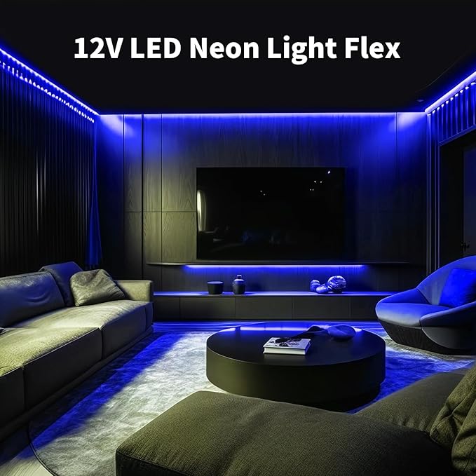 Blue Neon Rope Light, 5M Cuttable LED Strip Lights with Power Plug, 12V Waterproof Flexible Dimmable Lights Kit for Bedroom TV Backlight Gaming Room Monitor Kitchen Cabinet Bar Wall Stage Stairs Decor