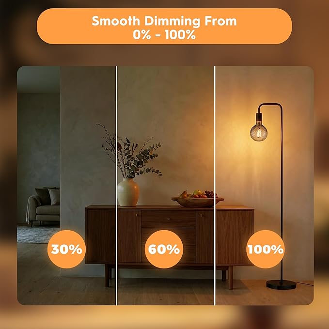 Vintage Edison LED Bulbs, Dimmable 4W Globe G125, 2200K Warm White Ambient Mood Lighting for Decoration, Squirrel Cage Filament, Smok Diamond Figure Glass LED Light Bulbs, E26 Base