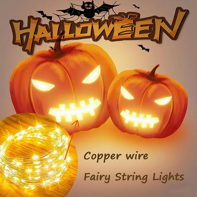 4 Pack Fairy String Lights,6.56FT 20LED,2AA Battery Operated,Timer Founction,Copper Wire String Lights, IP65 Waterproof,Indoor/Outdoor flexible for DIY ,Party, Bedroom, flowers decoration(Warm White)