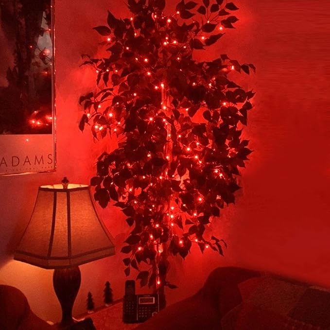 RUICHEN 20 Ft 120 LED USB Fairy String Lights with On/Off Switch, Waterproof Copper Wire Lights for Bedroom Wall Ceiling Wreath Crafts Christmas Party Mother's Day, Red