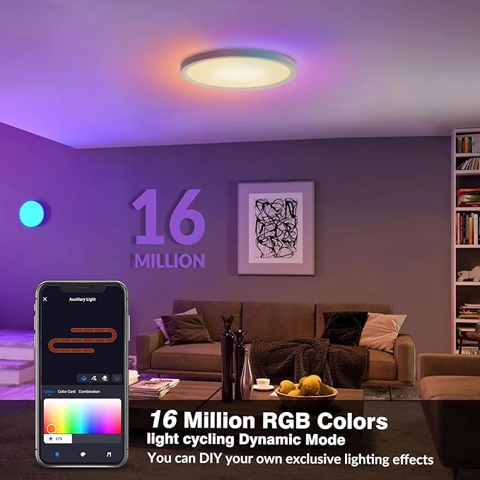 Smart RGB LED Ceiling Light with Remote, 12" WiFi Flush Mount Ceiling Light Works with Alexa & Google Home, 24W=2400LM Dimmable, DIY Colors & 2700K-6500K, for Bedroom Living Room, 1 Pack