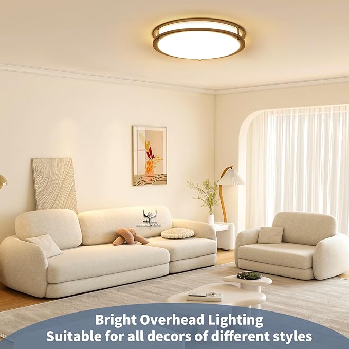 36W 12Inch LED Ceiling Light Fixtures, Flush Mount Light Fixtures, 5CCT 2700K 3000K 4000K 5000K 6500K, Close to Ceiling Light for Kitchen Bathroom Kitchen Bedroom, Super Bright 3800LM, Nickel, 2 Packs