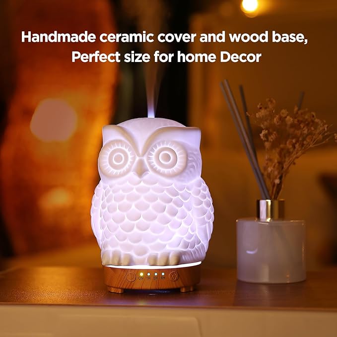 Owl Ceramic Aromatherapy Diffuser INRORANS 160ml Stone ultrasonic Cool Mist Scent Essential Oil Diffuser Humidifier with Intermittent Mist & LED 7 Colors Changing Night Light for Bedroom Office Home
