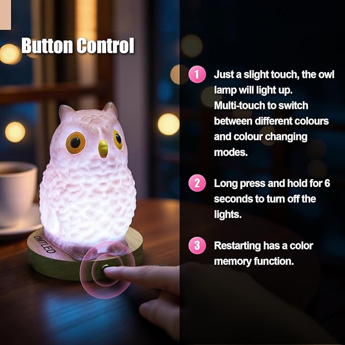 Owl Table Lamp, Dimmable Owl LED Night Light Rechargeable Outdoor Cordless Night Light with Remote Control Portable Touch Control Desk Bedside Lamp for Bedroom Dining Room Office Dorm Garden (L)