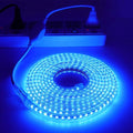 LED Light Strip Kit, AC 110-130V Flexible Waterproof Rope Lights, SMD 5050 60 LEDs/M for Indoor Outdoor Commercial Lighting, Accessories Included (Blue, 164ft/50m)